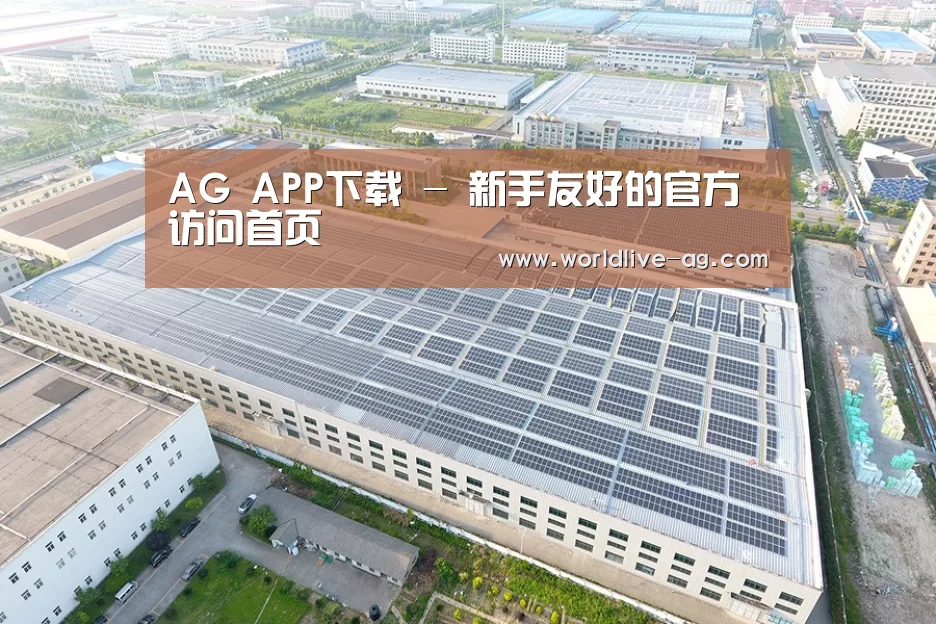 案例展示三