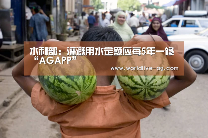 AG入口