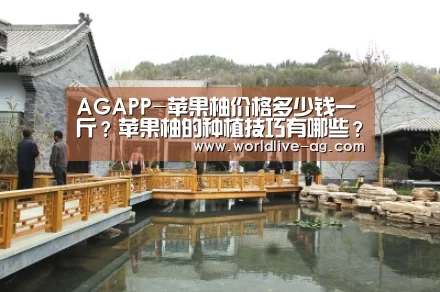 AGAPP-苹果柚价格多少钱一斤？苹果柚的种植技巧有哪些？(图1)