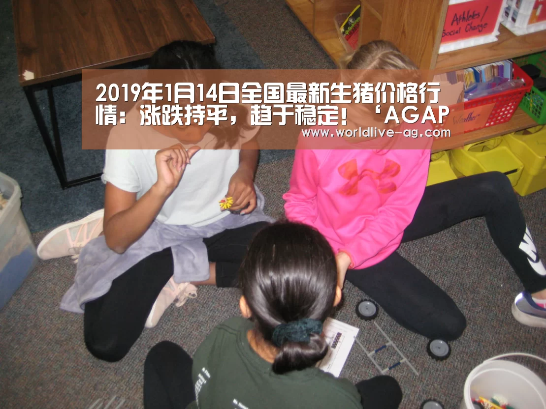 2019年1月14日全国最新生猪价格行情:涨跌持平,趋于稳定!‘AGAPP’(图1) 2019年1月14日全国最新生猪价格行情:涨跌持平,趋于稳定!‘AGAPP’(图1)