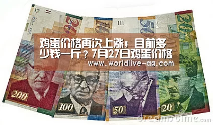鸡蛋价格再次上涨；目前多少钱一斤？7月2