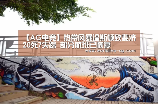 【AG电竞】热带风暴温斯顿致斐济20死7失踪 部分航班已恢复(图2) AG竞猜